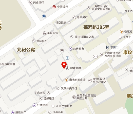 上海奇点市场研究公司
